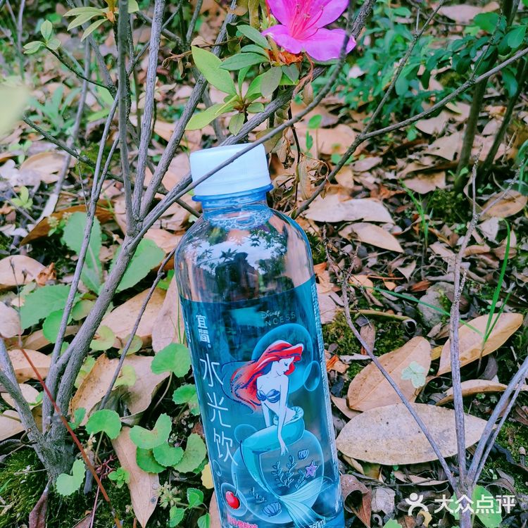 宜简的新饮品太赞了