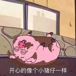 -扬州龙摄影·全球旅拍(维扬路总店)