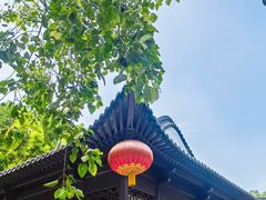 -深圳国际园林花卉博览园