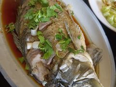 -湖光月色临湖音乐餐厅(台儿庄古城店)