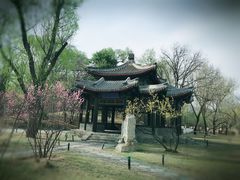 景点-承德避暑山庄景区