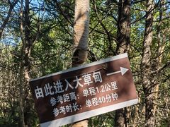 -白草畔自然风景区