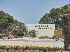 -南山植物园