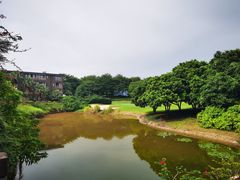 -南宁青秀山国际高尔夫球会停车地面停车场