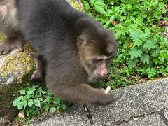 -西岭雪山大飞水景区