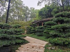 -南山植物园
