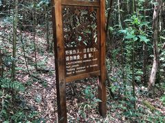 -武夷山风景名胜区-玉女峰