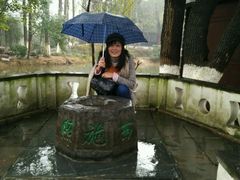 -东方明珠国际旅行社有限公司