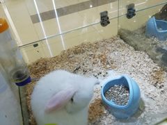 -凯德广场(武胜路店)