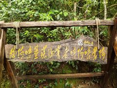 -西双版纳基诺山寨