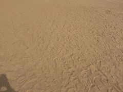 -碧海金沙