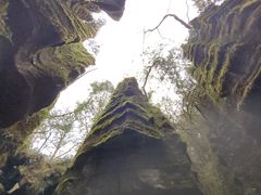 -梭布垭石林景区