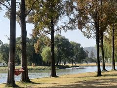 -无锡蠡湖国家湿地公园-蠡园