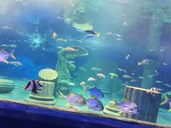 -梦幻海洋王国(吾悦广场张家港店)