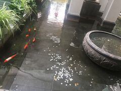 -旺顺阁鱼头泡饼(小红门店)