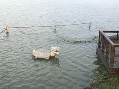 -昆山城市生态森林公园