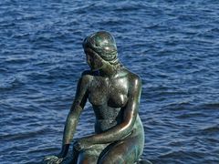 -美人鱼
