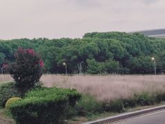 -南京奥林匹克体育中心-体育馆
