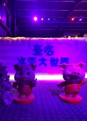 -圣名游乐城冰雪大世界