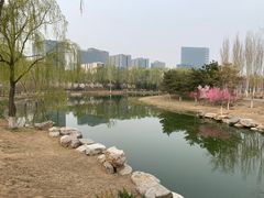 -大兴滨河森林公园