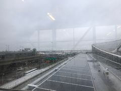 -约翰·菲茨杰拉德·肯尼迪国际机场