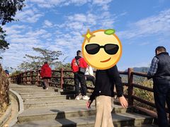-羚羊峡古栈道森林公园