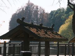 -东湖落雁景区