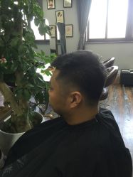 -镁连社·美联社