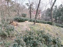 -贮水山儿童公园