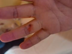 -如家精选酒店(上海塘桥儿童医学中心世博店)