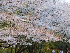 -杭州少年儿童公园