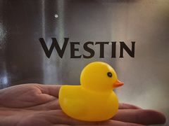 -天津君隆威斯汀酒店
