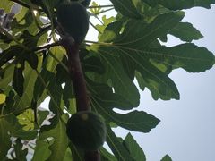 -北京市二清机动车检测场有限公司