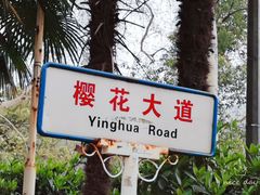 -武汉大学-樱园