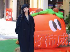 -王府井奥莱临潼小镇(临潼店)