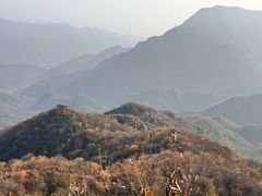 -大岭沟猕猴桃谷风景区