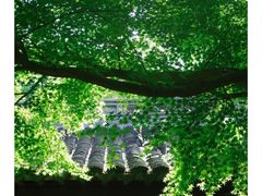 -惠山古镇·寄畅园