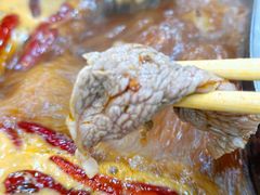 鲜牛肉-晓林火锅(安定门店)