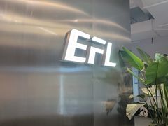 -EFL巴西柔术·综合格斗·泰拳·少儿体能训练(虹桥德必馆)