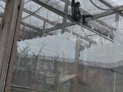 -临沂动植物园