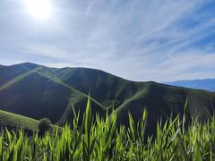 -新疆那拉提国家旅游度假区