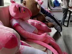 -CIAO·团建聚餐·生日派对轰趴馆(福田店)