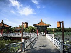 -长春市南湖公园