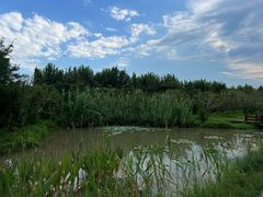 -上海交通大学(闵行校区)