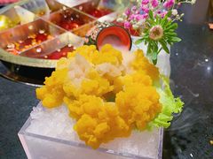 云南有机黄金耳-井格重庆火锅(西直门凯德Mall店)