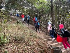 -大姆山草场