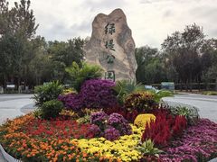 -绿堤公园