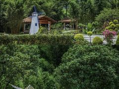 -藏龙百瀑风景区