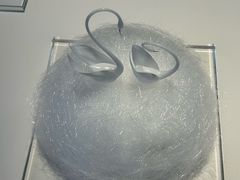 -BLACKSWAN黑天鹅(环球店)