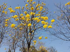 -中国移动南方基地